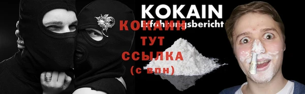 mdpv Белокуриха