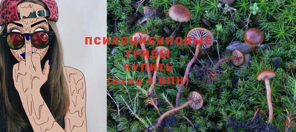 a pvp Белоозёрский